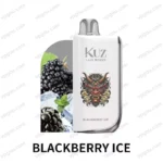 BLACKBERRY-ICE-1.webp - VapingOZ