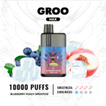 BLUEBERRY-PEACH-SMOOTHIE1png - VapingOZ