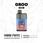 BLUEBERRY-PEACH-SMOOTHIE1-2png - VapingOZ