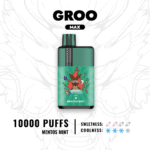 Groo-Max-MENTOS-MINT-28png - VapingOZ