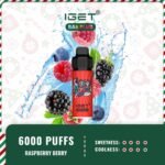 IGET-Bar-Plus-6000-Puffs-Raspberry-Berry55jpg - VapingOZ