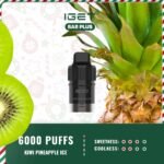 IGET-Bar-Plus-Pod-Only-6000-Puffs-Kiwi-Pineapple-Ice07jpg - VapingOZ