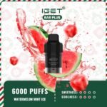 IGET-Bar-Plus-Pod-Only-6000-Puffs-Watermelon-Mint-Ice07jpg - VapingOZ